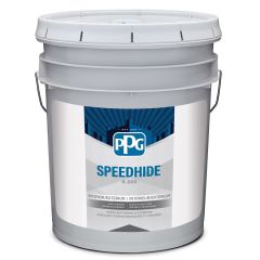 Speedhide Pro-EV 18.3 L Eggshell Interior Latex Paint