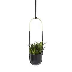 Bolo Planter