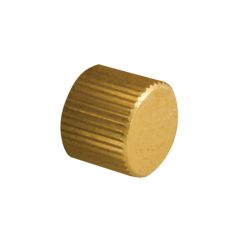 Drain Cap