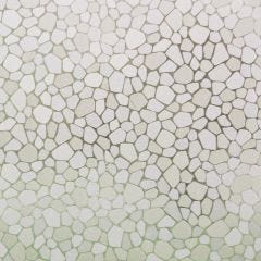 Window Privacy Film