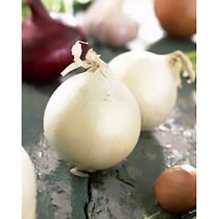 Snowball White Onions
