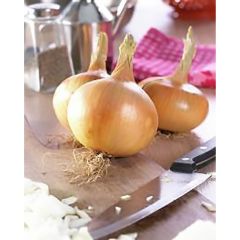 Sturon Yellow Onions