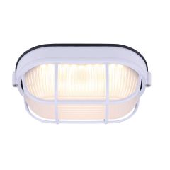 LED Oval Light, White with Frosted Glass