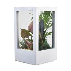 Basic Whitewash Finish Terrarium 6 x 8"