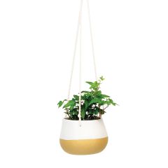 5" White and Natural Cylinder Pot