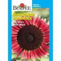 Assorted Flower Seeds
