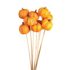 Orange Pumpkins Stem