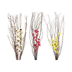 Dried Bouquet Stem