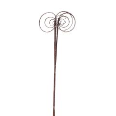 Cane Circle Stem