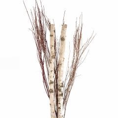 Brich Bouquet Stem