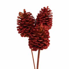 Jumbo Pinecone Stem