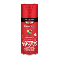 340 g Krylon Colormaxx - Gloss