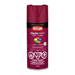 340 g Krylon Colormaxx - Satin