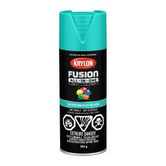 Krylon Fusion Spray Paint-Satin 340g