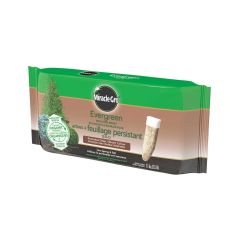 Miracle-Gro Evergreen Spikes 10pk
