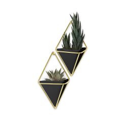Trigg Small 2 Piece Black And Brass Wall Vessel