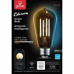 4.5 Watt ST19 Clear Filament Dimmable WiFi Smart Bulb