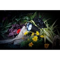 200 Lumens Solar Spotlight