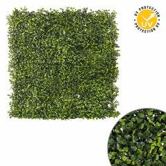 Boxwood Privacy Panel 100 x 100cm