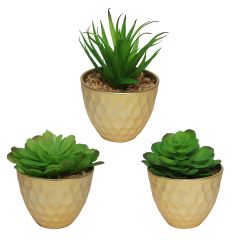 Gold Pot With Plant-3 Assorted
