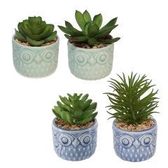 Owl Pot with Plant-4 Assorted