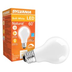 8 Watt Dimmable Medium Base LED A19 Bulb-1/Pack
