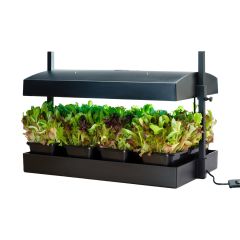 Sunblaster Grow Light Garden Hallifax Seed