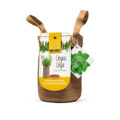 EZ Oregano Seeds