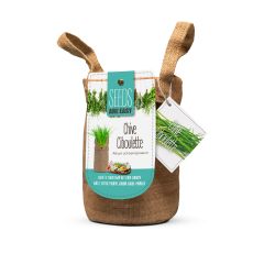 EZ Chive Seeds