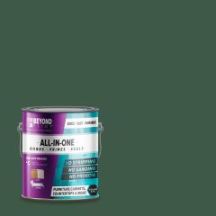 Beyond Paint Multi-Surface Refinishing Paint, Forest Green-3