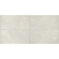 Carreaux de céramique Resilience 12 x 24 po 17,49 pi²/bte, V