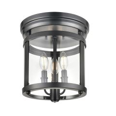 Niagara Special Edition 11" Flushmount