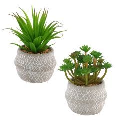 Artfical Plant In Grey Pot- Assorted