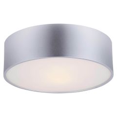Dexter 13" Flushmount