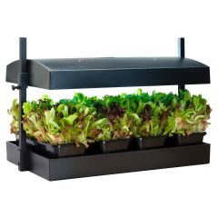 SunBlaster Grow Light Garden With Timer
