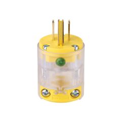 Illuminated Plug