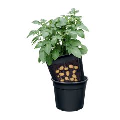 Pot à pommes de terre