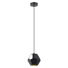 Rasigures Pendant Light 1L, Black and Gold Finish