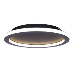 GAVYN Ceiling Light- Matte Black