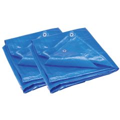Twin Pack Light Duty 10' x 12' Blue Tarp