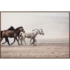 Beaux Chevaux 24x36