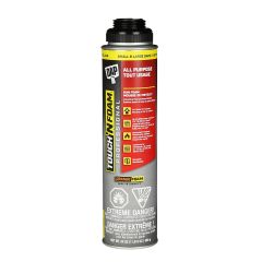 DAP Professional All-Purpose Gun Foam Sealant (Fireblock) 24
