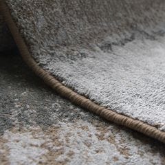 6’7” x 9’0” Careston Area Rug