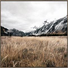 Field of Grass Framed Print 24" x 36"