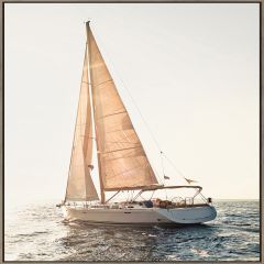 White Sails Framed Print 24" x 36"