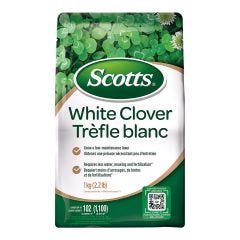 Trèfle blanc Scotts 1kg