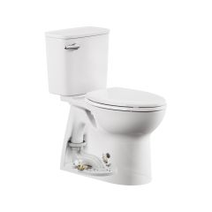 Aspirations 1.28 gpf Concealed Toilet