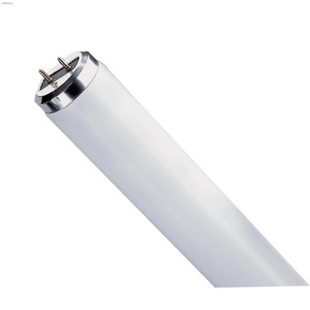 T12 bulbs shop