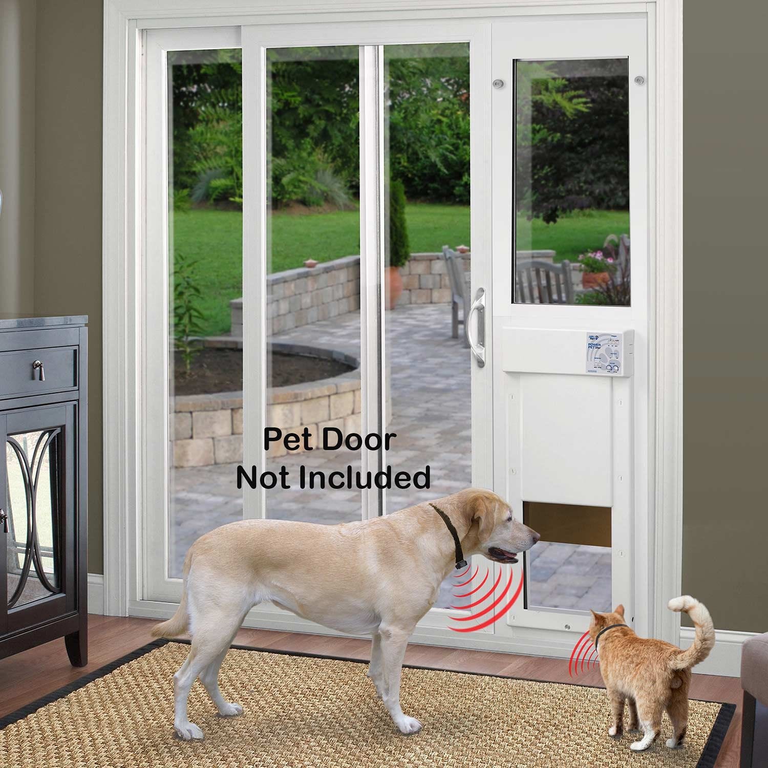 Dog doors that open with collar discount