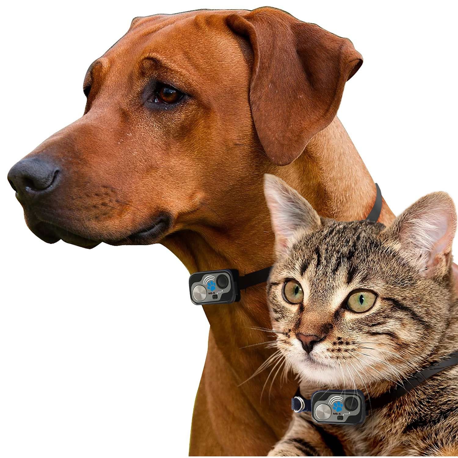 Digital Water Proof Ultrasonic Collar For All Power Pet Door Pet